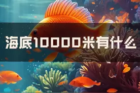 海底10000米有什么？ #科普 #科普一下 #知识科普