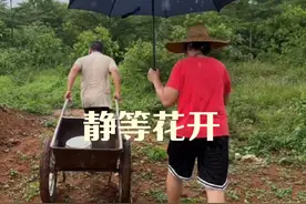 采得百花成蜜后,为谁辛苦为谁甜?静等花开#我的乡村生活 #抖音记录农村生活 #优质农产品 #我为家乡农产品代言 #农村最朴素的生活视频封面