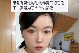 甲鱼确实不能吃多 #甲鱼 #美食