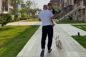 直到今天我自己做了父亲，从👶🏻哗哗坠地起一手把他带大，一天24小时除了睡觉，其他时间都是鸡飞狗跳没有一刻可以闲下来。我也深深体会到小时候父亲外出打工，母亲一个人带着姐姐和我，还要忙活家里家外菜地农田是有多么不易～#超级奶爸 #奶爸带娃 #爸爸带娃 #带娃日常 #记录真实生活
