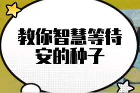 教你智慧等待 安的种子 #绘本故事 #儿童绘本 #绘本推荐视频封面