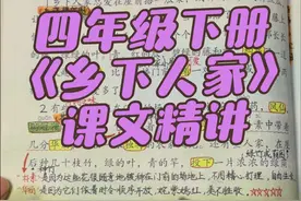 #四年级下册语文   四年级下册语文《乡下人家》课文精讲视频封面