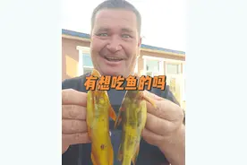 牛尾巴和嘎牙子鱼傻傻分不清楚！ #抖音助农 #抖音记录农村生活 #新农人计划 #我的乡村生活 #田园生活乐趣多