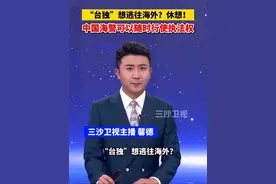 “台独”想逃往海外？休想！中国海警可以随时行使执法权视频封面