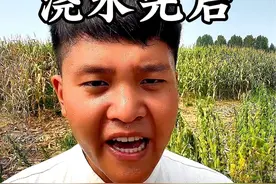 种植青菜是先浇水还是后浇水呢#蔬菜种植 #种菜 #分享农业知识帮农民增产增收 #新农人计划2024 #农业种植视频封面