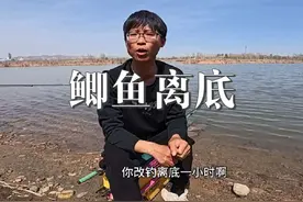 鲫鱼什么情况下才能钓离底？这三点必须知道 #野钓技巧 #钓鱼技巧视频封面