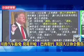 郭正亮：“特朗普汽车豁免 政策一变再变 反复无常”视频封面