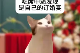 吃席吃到一半发现是自己的订婚宴 #过年 #相亲 #猫meme视频封面