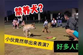 禁养犬，小伙竟然带到广场，好多人还过来围观#狗市 #河南 #训犬视频封面