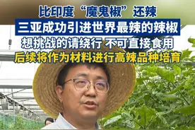 三亚成功引进世界上最辣的辣椒，辣度指数有200多万史高维尔指数。视频封面