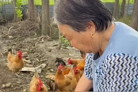 奶奶闲不住，老一辈的人没有爱好也没有打发时间的办法，她们只能靠着干活来打发时间，人老了，但是她们也需要，那种被需要的感觉，同时我也一样，没有社交没有爱好，做饭也是我打发时间的方法，虽然做的不好，但是很充实#记录美好生活 #农村的美好生活