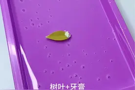 用一片树叶和牙膏，跟孩子一起制作好玩的树叶小船，叶子像装了发动机一样，可以开很久很久#幼儿园手工 #手工diy #亲子手工 #科学小实验视频封面