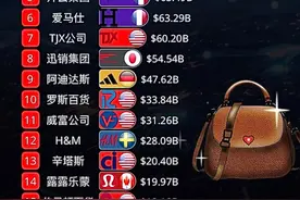 全球服装企业市值TOP15，中国上榜几家？ #数据可视化 #服装 #企业 #市值视频封面