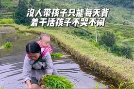 公公婆婆都老了，看不了孩子，每天只能背着孩子去干活特别的辛苦特别的累，孩子也特别的争气，不哭不闹。视频封面