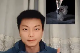 labubu动态壁纸 #醒图 #醒图创作者 #labubu #labubu壁纸视频封面