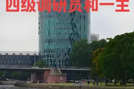 四级调研员和一级主任科员待遇#体制内 #职业规划 #干部