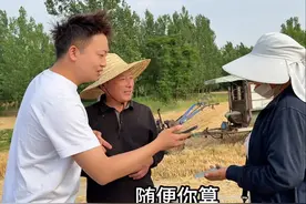 江苏女婿在娘家根本闲不下来，伴随着最后一块麦的颗粒归仓视频封面