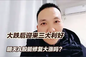 2月25日A股猛料：大跌后迎来三大利好，明天能修复大涨吗？视频封面