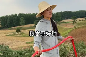 河南干旱持续，玉米不出苗，农民们顶着烈日，拉着车抽取水井之水，用排水管艰难抗旱，辛苦至极，只为那一抹绿色希望。#抗旱浇地 #我的乡村生活 #农民种地不容易视频封面