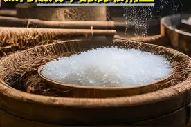 穿越必备技能之如何在古代实现低成本制盐#穿越必备指南 #知识科普 #盐视频封面