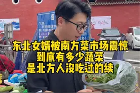南方到底有多少蔬菜是北方人没吃过的！地瓜叶竟然也能吃，南方的朋友们能不能说一说，我去尝一遍！#南北差异 #南北饮食大不同 #南方菜市场 #记录农村真实生活 #地瓜叶视频封面
