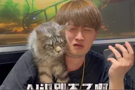 高德导航找我录语音包啦！但是……