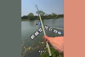 麒麟臂 拔巨物 #原来钓鱼才是抖音运动顶流 #钓鱼 ##渔之源AK系列