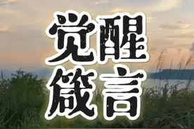 十二句让你大彻大悟的【觉醒箴言】！#智慧 #认知 #开窍 #金句视频封面