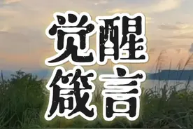 十二句让你大彻大悟的【觉醒箴言】！#智慧 #认知 #开窍 #金句视频封面