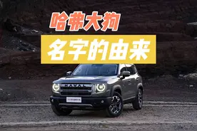 哈弗大狗名字的由来，大哥们尾标都改成什么啦！！！#创作灵感视频封面