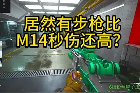 比 M14（妹控）秒伤还要高的步枪！腾龙#三角洲 #三角洲行动视频封面