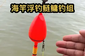 海竿浮钓鲢鳙制作线组教程，新手也能快速上手#海竿钓鲢鳙 #海竿鲢鳙钓组 #海竿浮钓鲢鳙 #海竿浮钓鲢鳙线组 #浮钓鲢鳙视频封面