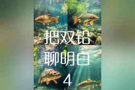 双铅线组，上铅调满目不对 不是所有漂都可以这么玩，误导了不少新手#钓鱼 #原来钓鱼才是抖音运动顶流 #爱生活爱钓鱼 #钓鱼人 #双铅钓法视频封面