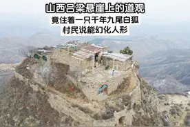 山西吕梁悬崖上的道观，竟住着一只九尾白狐，村民说能幻化人形！