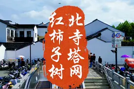 打卡苏州最美地铁站，北寺塔站，出站即江南视频封面