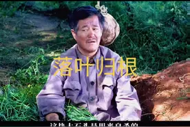 落叶归根#精彩视频剪辑 #每日更新热门短剧 #关注我一起追剧视频封面