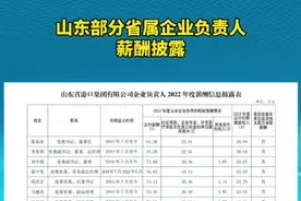 山东部分省属企业负责人薪酬披露#薪酬视频封面