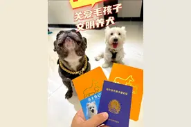 办犬证教学来喽！全程记录 180元搞定。  “禁养犬事件发生，提醒大家更应该文明养狗，合法养犬才是对毛孩子们最好的保护。”#文明养狗 #狗证 #法斗名叫多尔滚