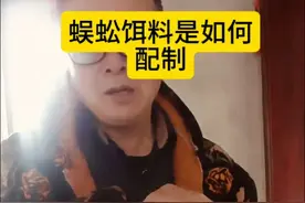 蜈蚣饵料是如何配制的#秘制饵料 #诱捕饵料