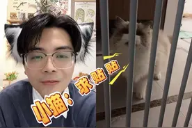 喵界翻译官！一听二看三定位，双向沟通超对味～#猫语十级 #喵喵大王 #科学养猫