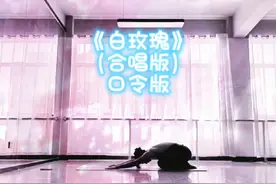 白玫瑰or红玫瑰？ #音乐流 音乐流《白玫瑰》（合唱版）口令版视频封面