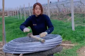 #劳动人民的智慧#种植#施工#加工#维修