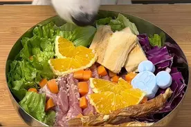 40斤的边牧一顿吃什么｜香迷糊的三文鱼🍣#边牧 #干饭狗的日常 #萌宠出道计划 #解压 #狗狗配餐