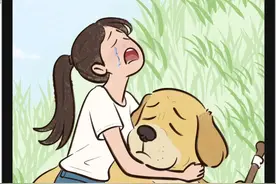 狗狗用一生教会了你什么是爱，再教会你怎么面对离别 在小王子里，小狐狸说 “主动制造羁绊就要承受流泪的风险”#狗是人类最忠诚的朋友 #狗狗是生活的解药 #小狗的爱是永远的 #这个世界不能没有小狗 #狗狗