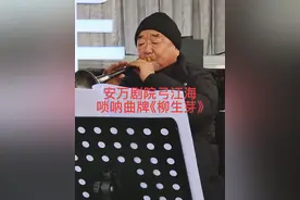 安万剧院弓江海吹奏唢呐曲牌《柳生芽》#秦腔抖起来视频封面