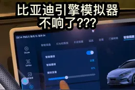 比亚迪车型引擎模拟器不响了？ 以后开车走在人多的地方，又不能鸣笛，难道靠喊吗？？#比亚迪 #海豹06dmi