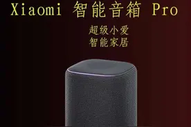 Xiaomi 智能音箱 Pro超级小爱真的不6#小爱音箱 #玩数码的阿三视频封面