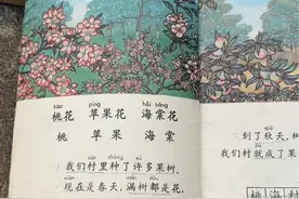 熟悉的插图带给我们满满的回忆，回不去了，怀念那个纯真的童年时光！#一代人的回忆 #老照片里的旧时光 #80后视频封面