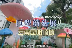 云南昆明顺城惊现“巨型蘑菇”，一秒进入奇幻世界~视频封面