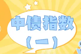 债市行情我们应该看哪个指数呢？#债券基金视频封面